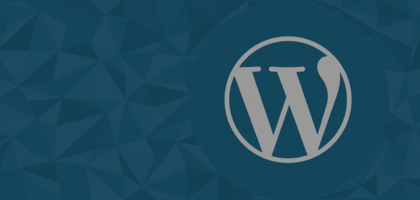 Magento Ecommerce Development Background